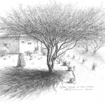 Desert Casita & Palo Verde Tree - Mark Tucci Original Pen & Ink Sketch