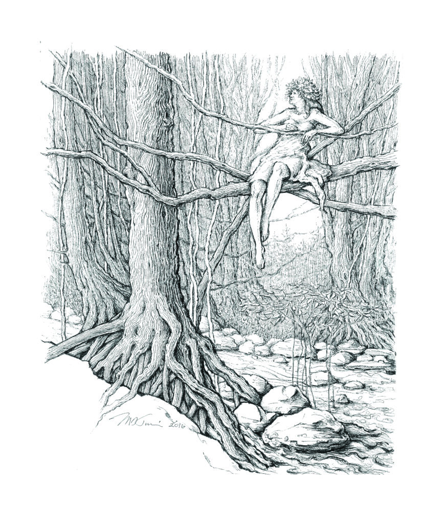 Wood Nymph - Mark Tucci Illustrations