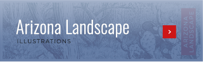 Arizona landscape drawings