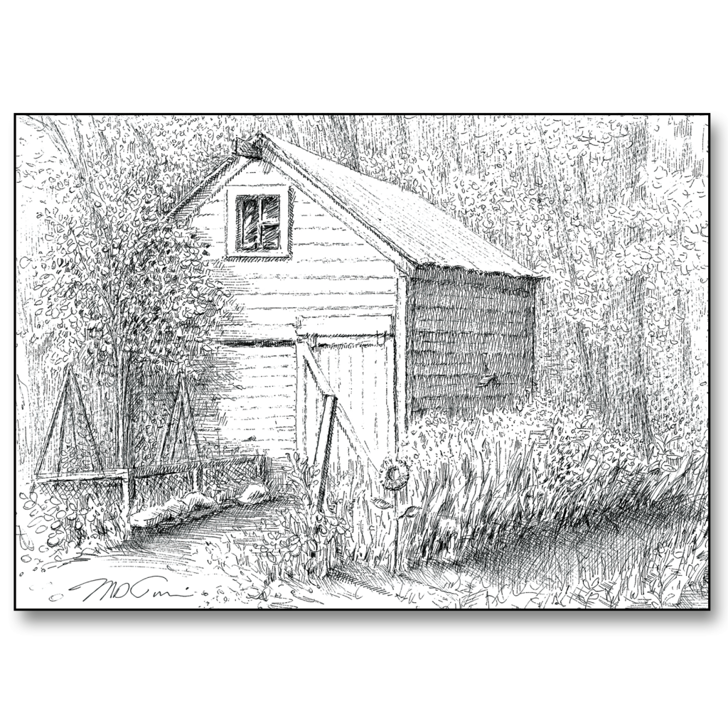 Sunflower Entry Card Mark Tucci Illustrations sunflower-entry-card-mark-tucci-illustrations