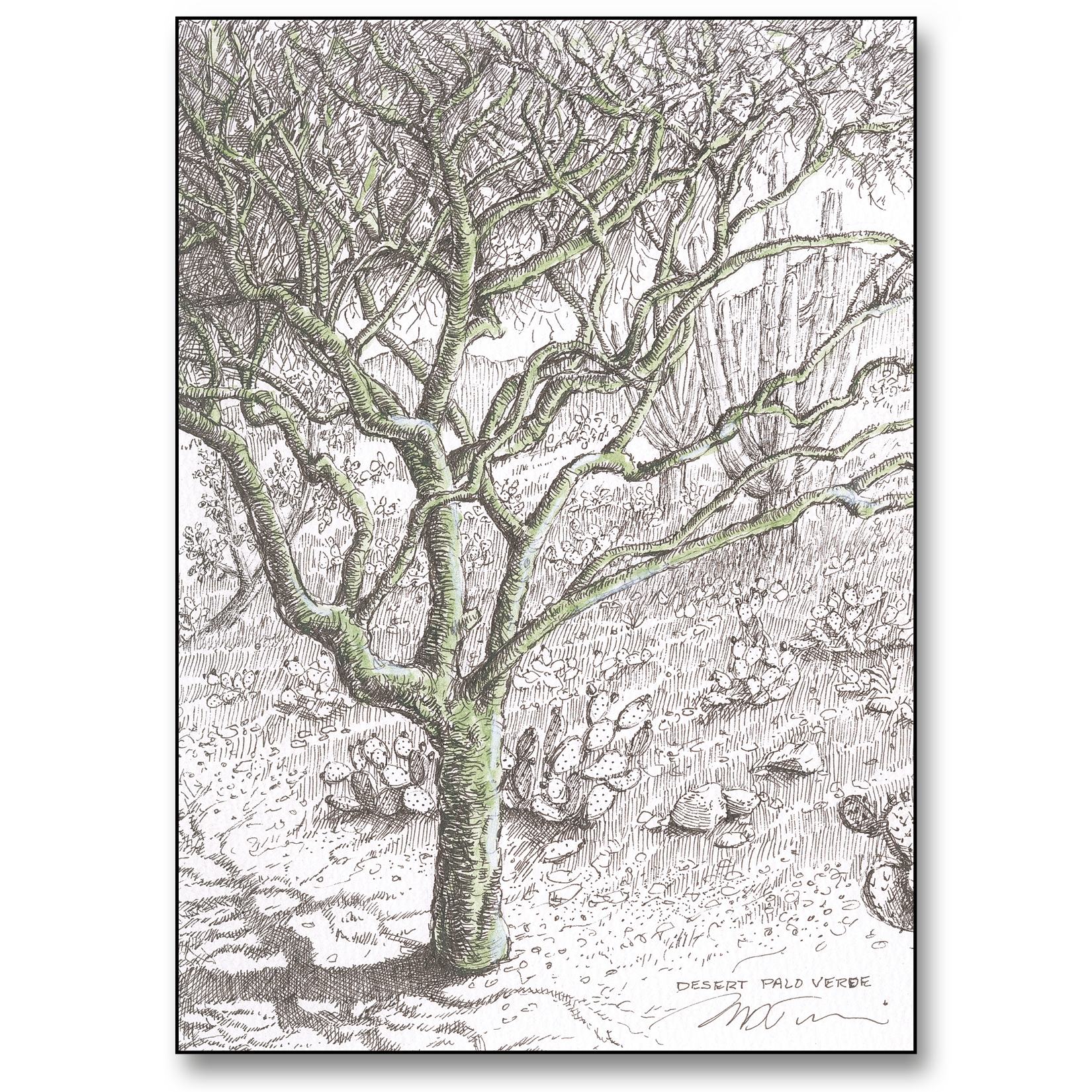 Desert Palo Verde Card