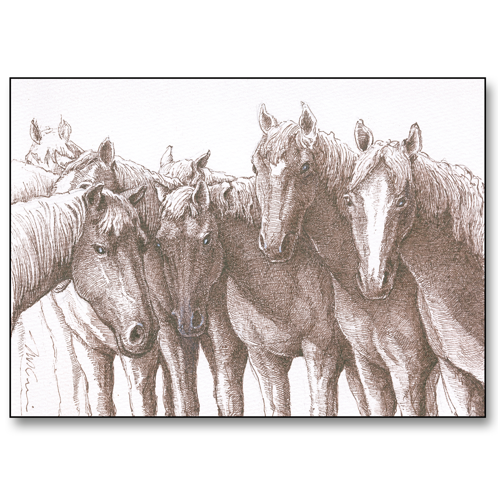 Horse Herd Card