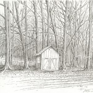Lonely Shed