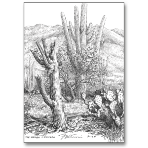 Fallen Saguaro Card