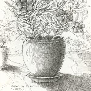 Vincas