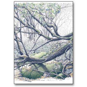 Winter's Damage card