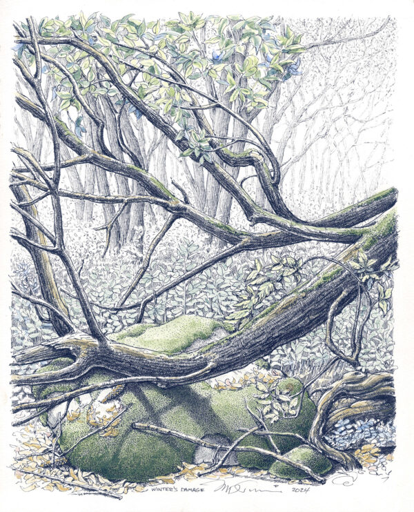 Winter's Damage 10x12 print